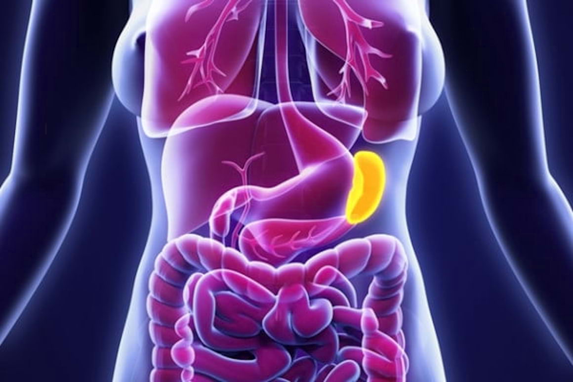 Bolile splinei: infecții, boli de sânge, ruptură de splină
