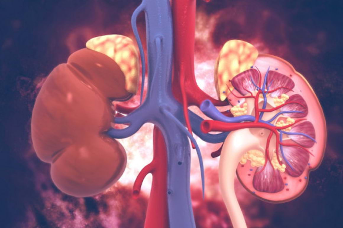Cancerul renal ereditar: ce trebuie sa stii despre preventie si diagnostic