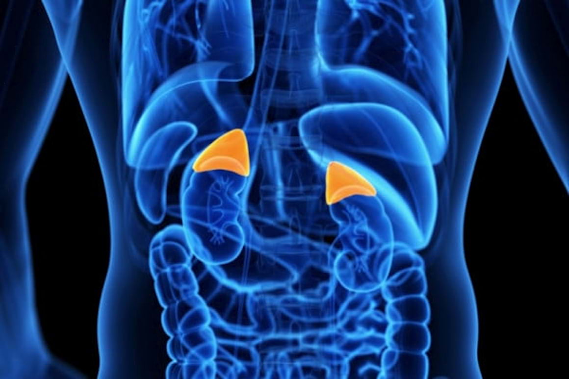 Cancerul glandelor suprarenale