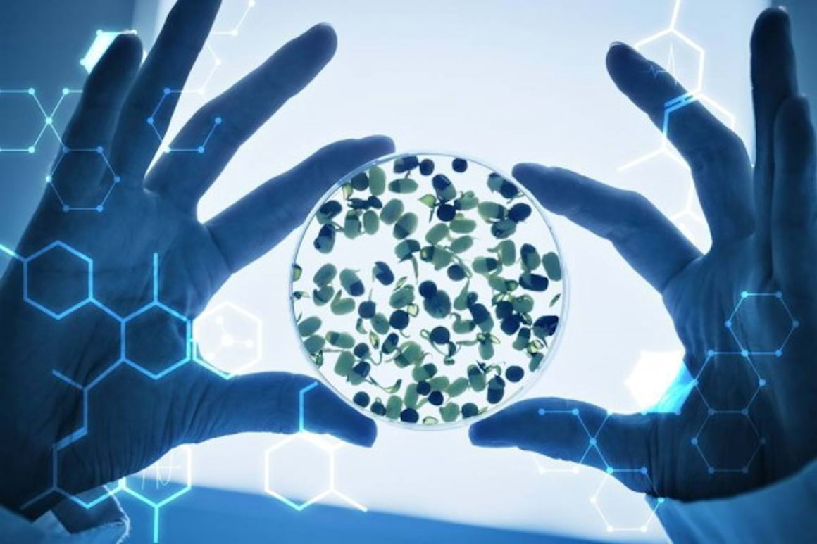 Hepatita C ar putea deveni una dintre bolile rare până în 2036