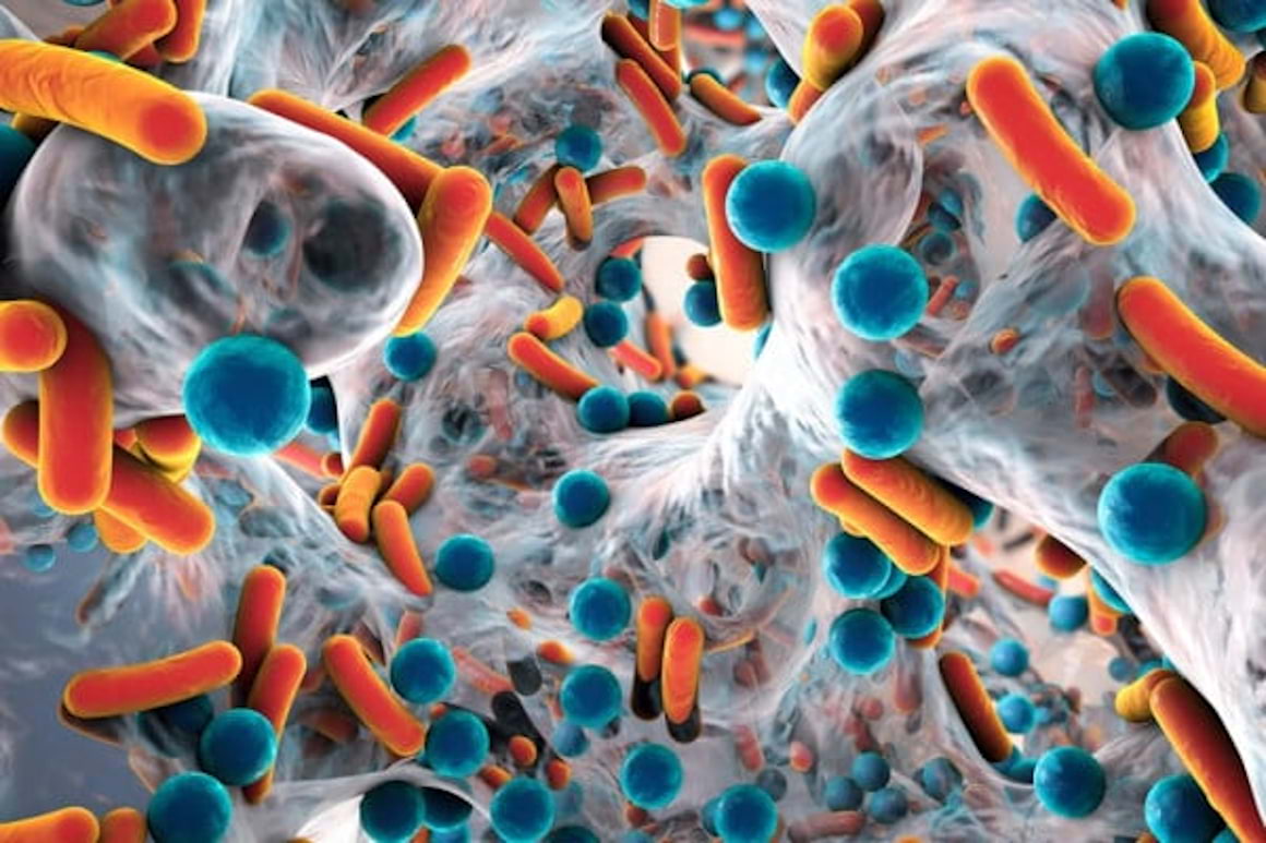 Cat de contagioase sunt infectiile bacteriene?