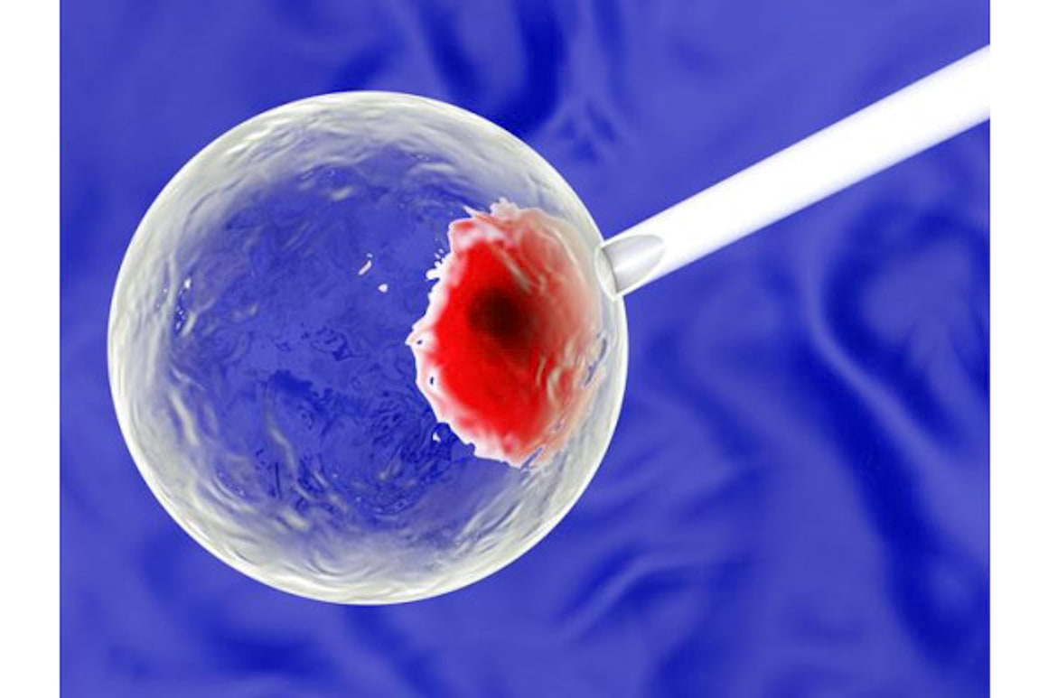 Reciclarea compusilor celulari primeste premiul Nobel pentru medicina anul acesta