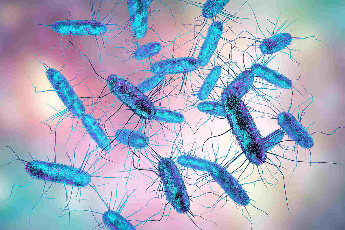 Infecția cu Salmonella: simptome, tratament, prevenție