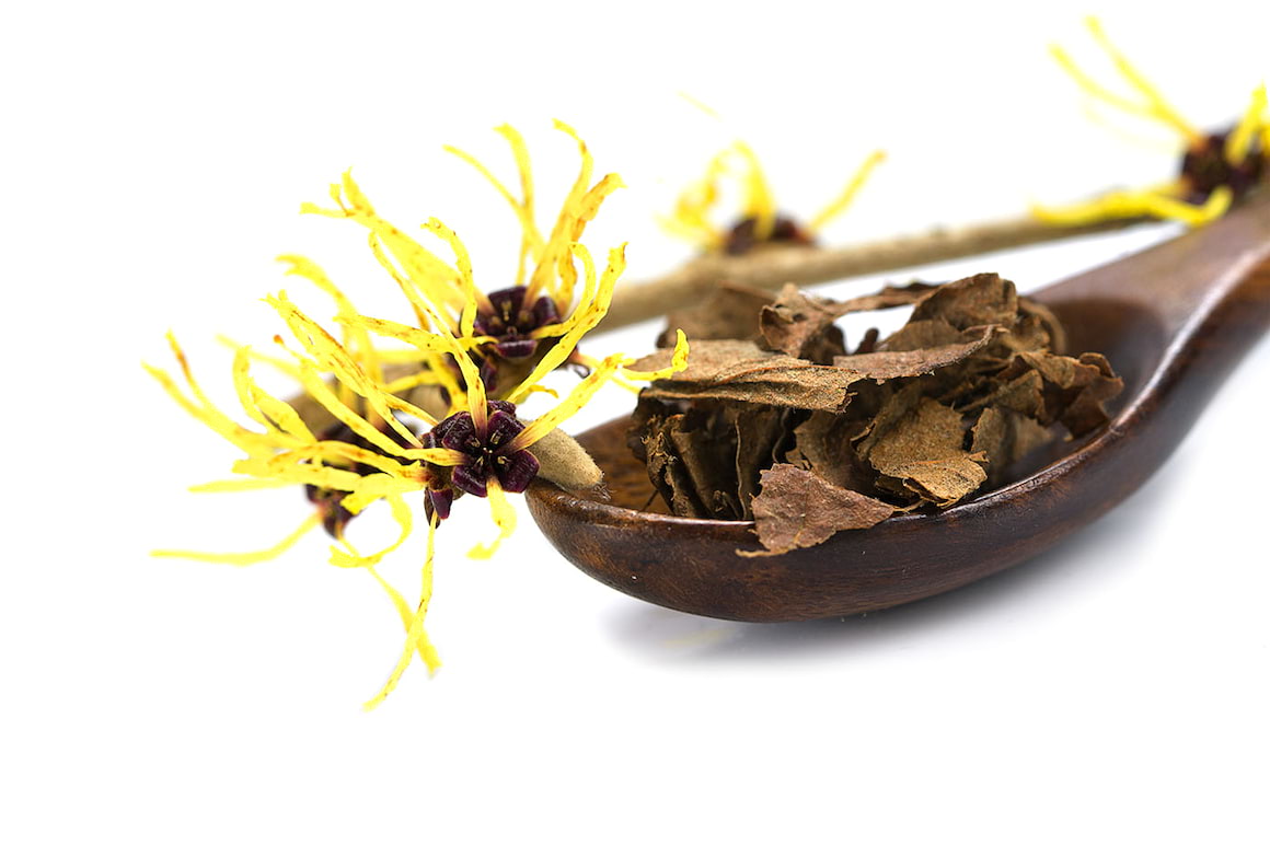 Hamamelis, un remediu pentru inflamație și iritații