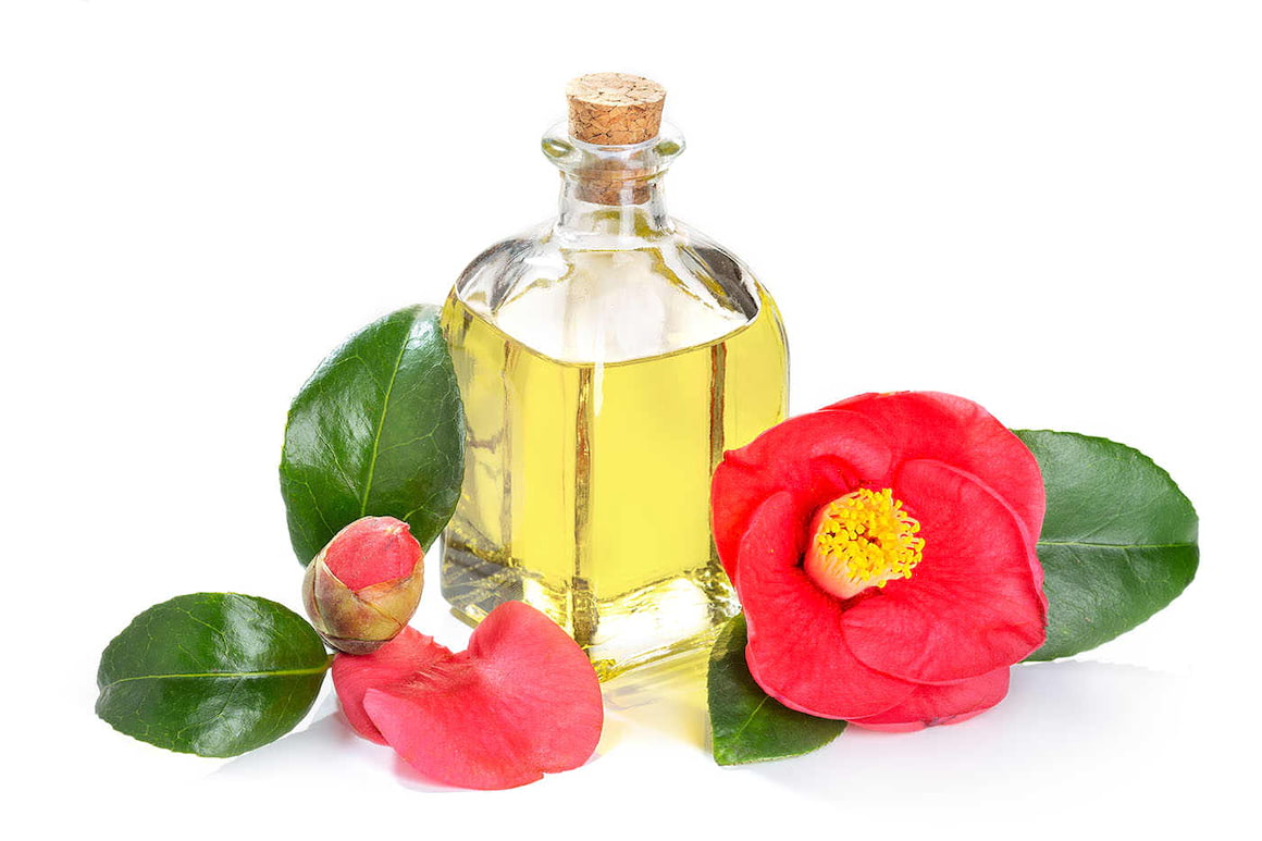 Uleiul de Camellia, ingredient esențial în ritualul de îngrijire japonez