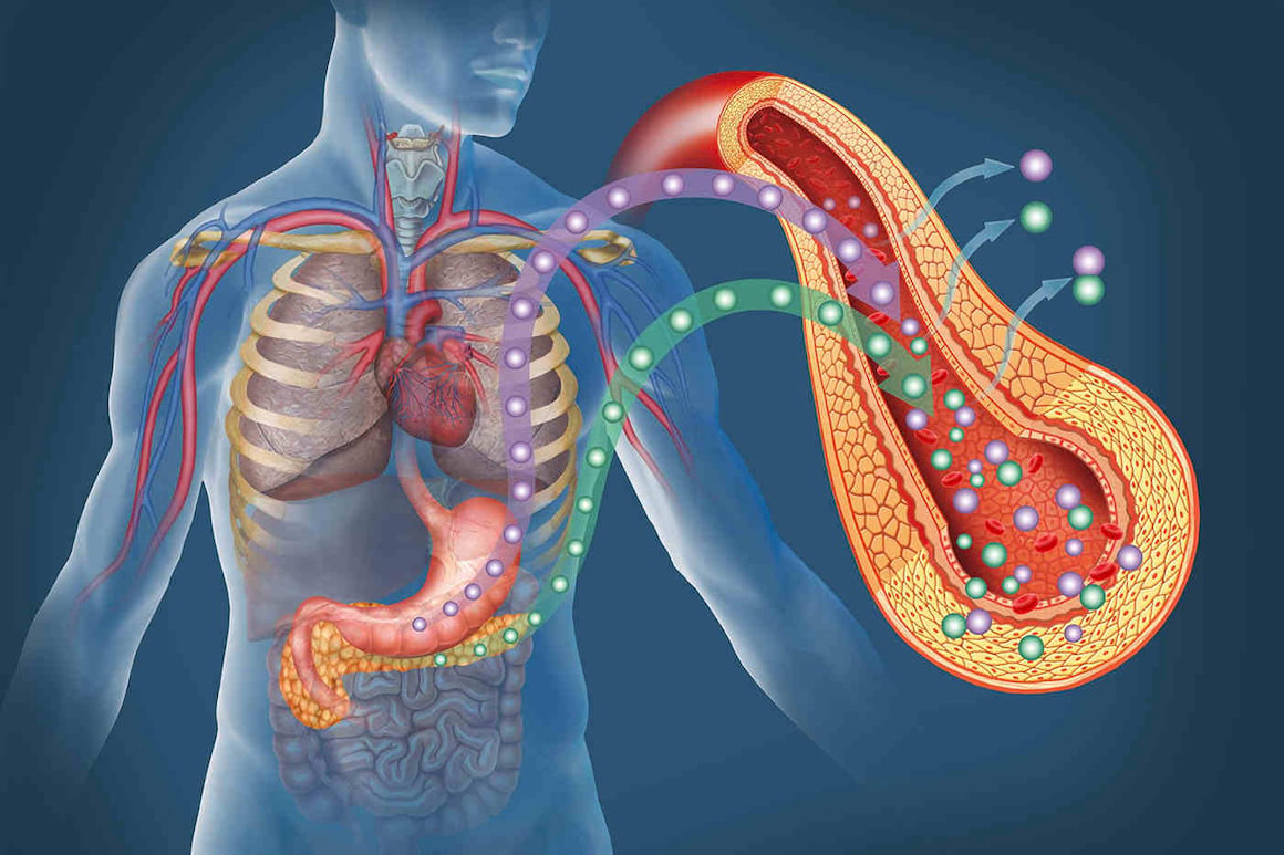 Diabetul de tip 1: relația dintre răspunsul la interferon și infecțiile virale
