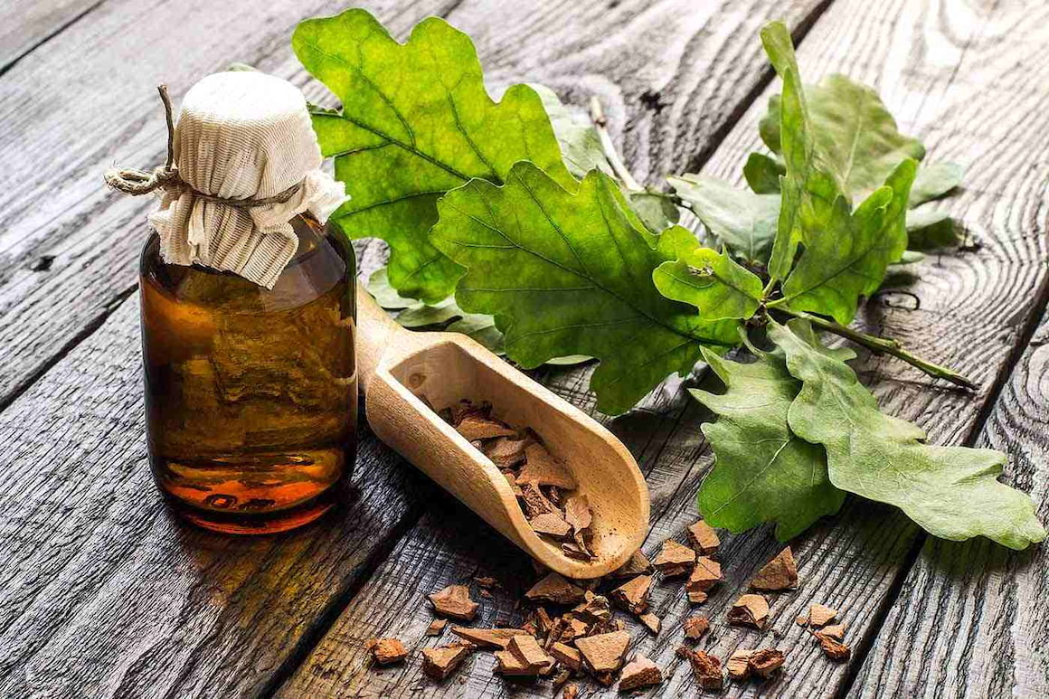Remediile cu scoarță de stejar, utile în combaterea inflamației