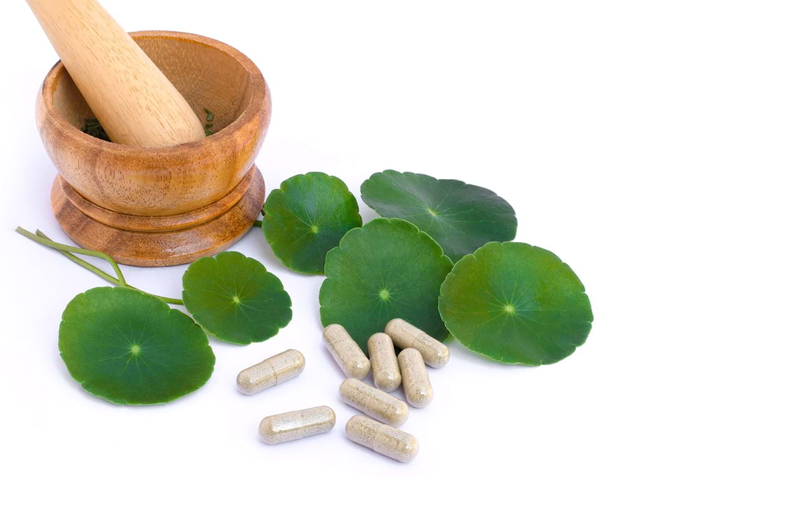 Brahmi~Gotu Kola, o plantă cu beneficii asupra sănătății creierului