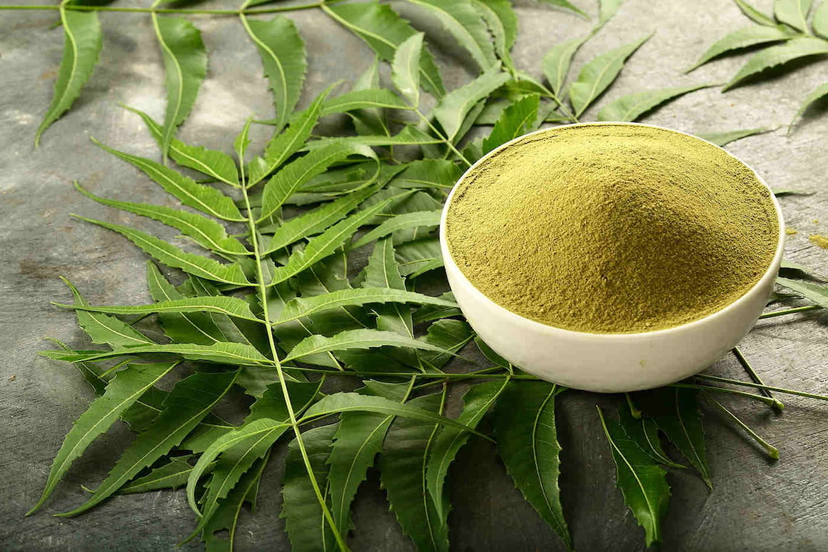 Neem, planta cu beneficii pentru piele, dantură și imunitate