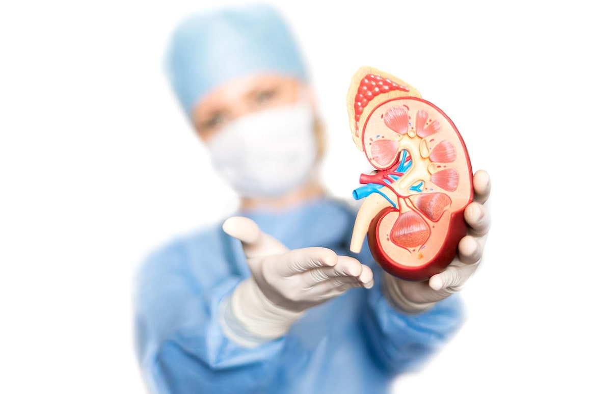 Tratament nou pentru protecția rinichilor, promițător în gestionarea complicațiilor diabetului [studiu]