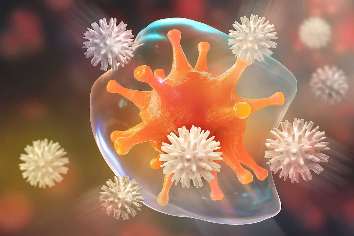 Sistemul imunitar ar putea fi optimizat pentru a combate cancerul (studiu)