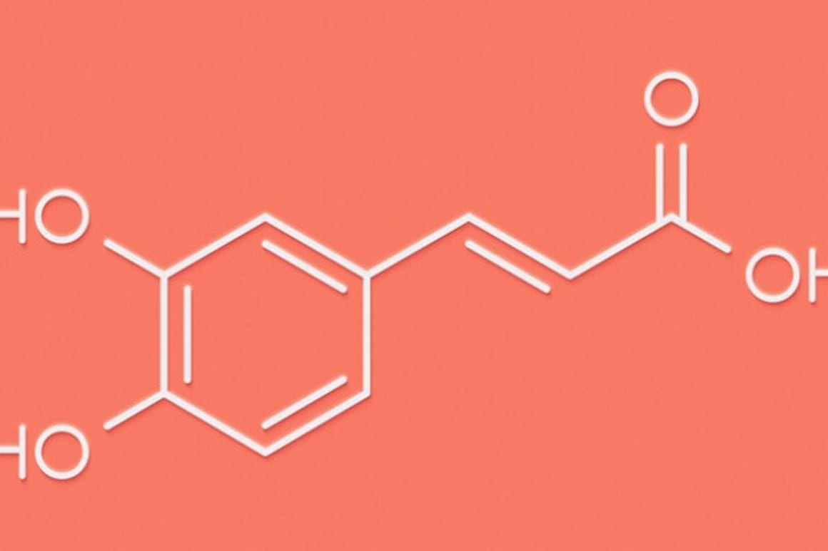 Acidul cafeic: beneficii, efecte secundare si surse naturale