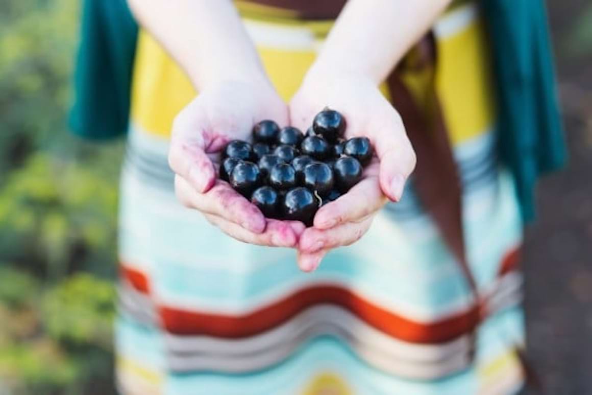 Ce beneficii și vitamine au coacăzele