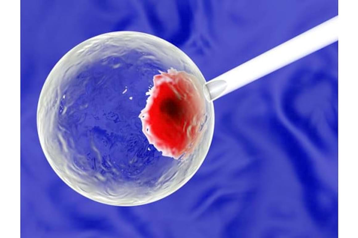Reciclarea compusilor celulari primeste premiul Nobel pentru medicina anul acesta