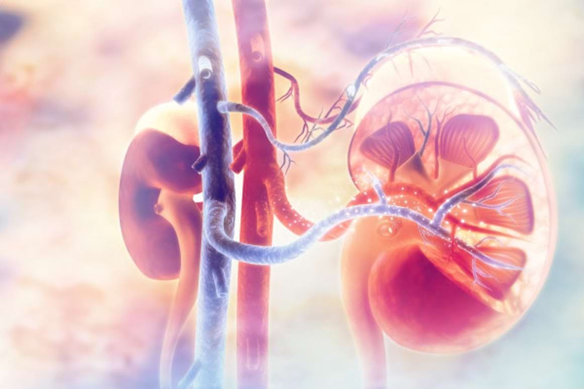 Noile generatii de terapii imunooncologice in cancerul renal