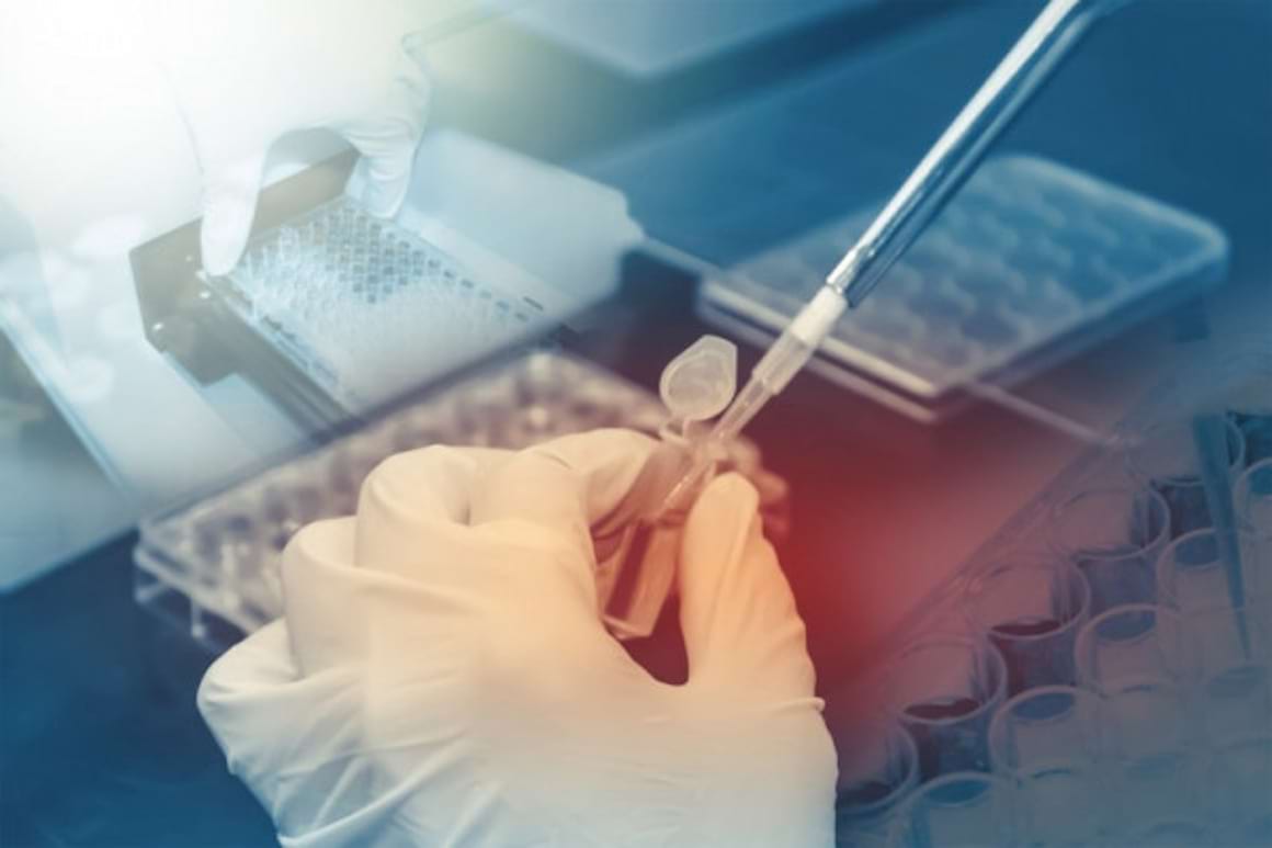 Importanța testelor genetice pentru stabilirea tratamentului personalizat în cancerul mamar