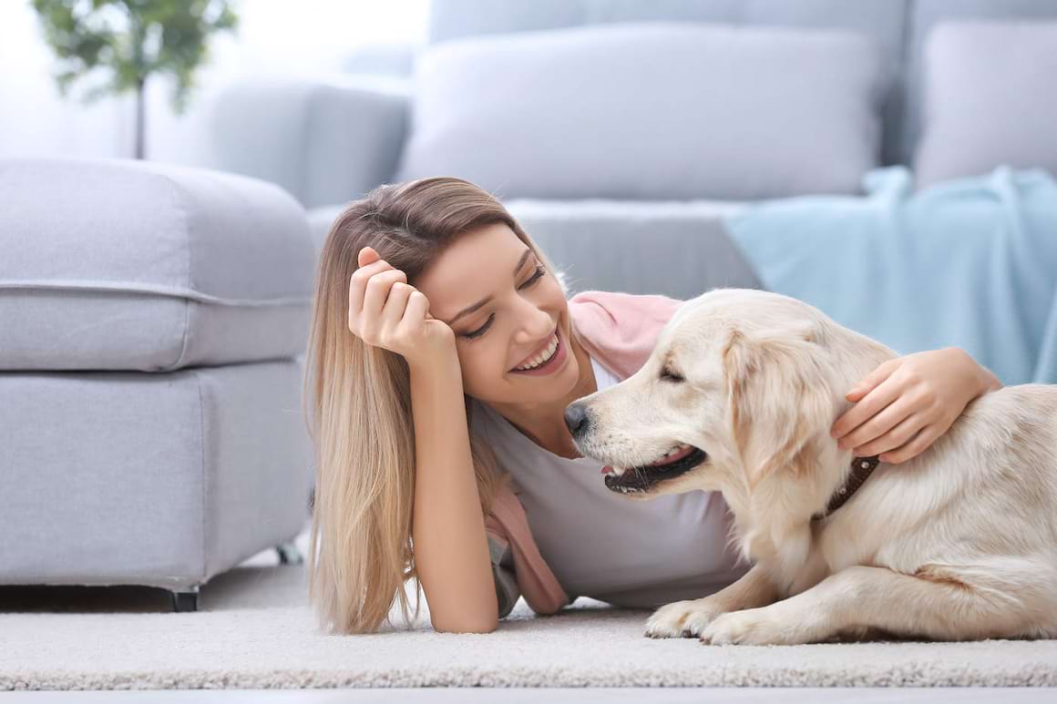 Noul coronavirus și animalele de companie: măsuri de protecție