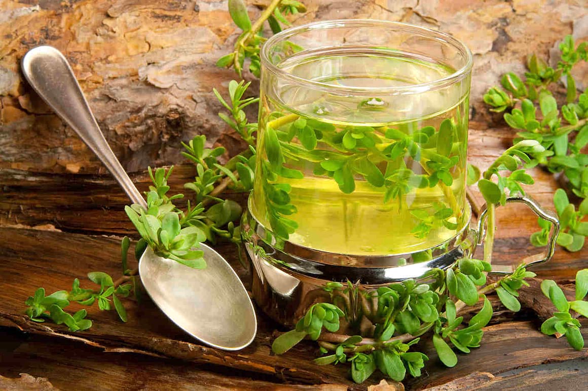 Isopul de apă (Bacopa monnieri) combate stresul și stimulează creierul