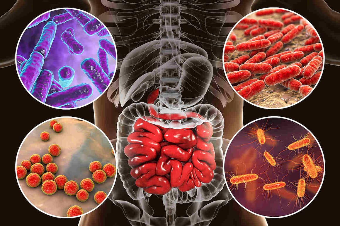Riscul de diabet, preconizat de o bacterie din intestine? [studiu]