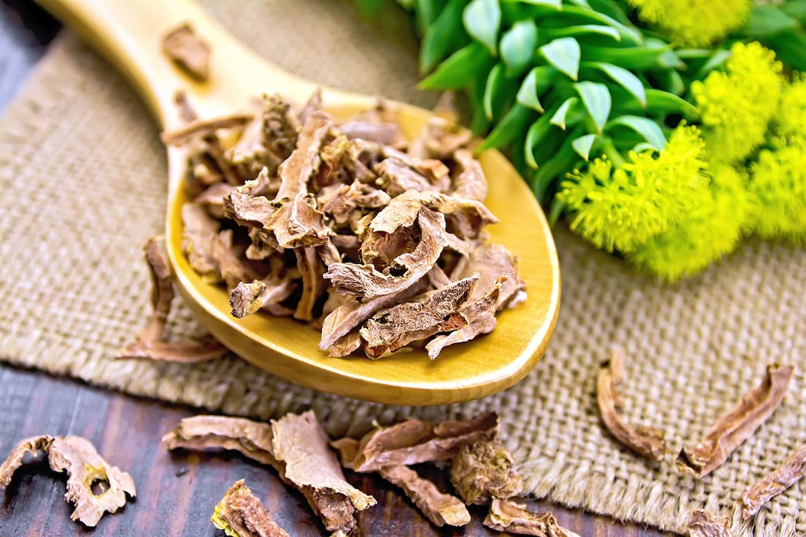 Rhodiola rosea, utilă împotriva anxietății și oboselii