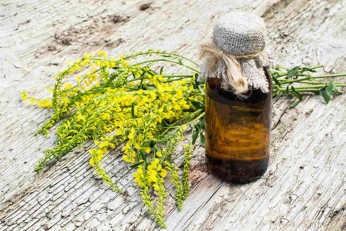 Sulfina (Melilotus officinalis): beneficii și contraindicații