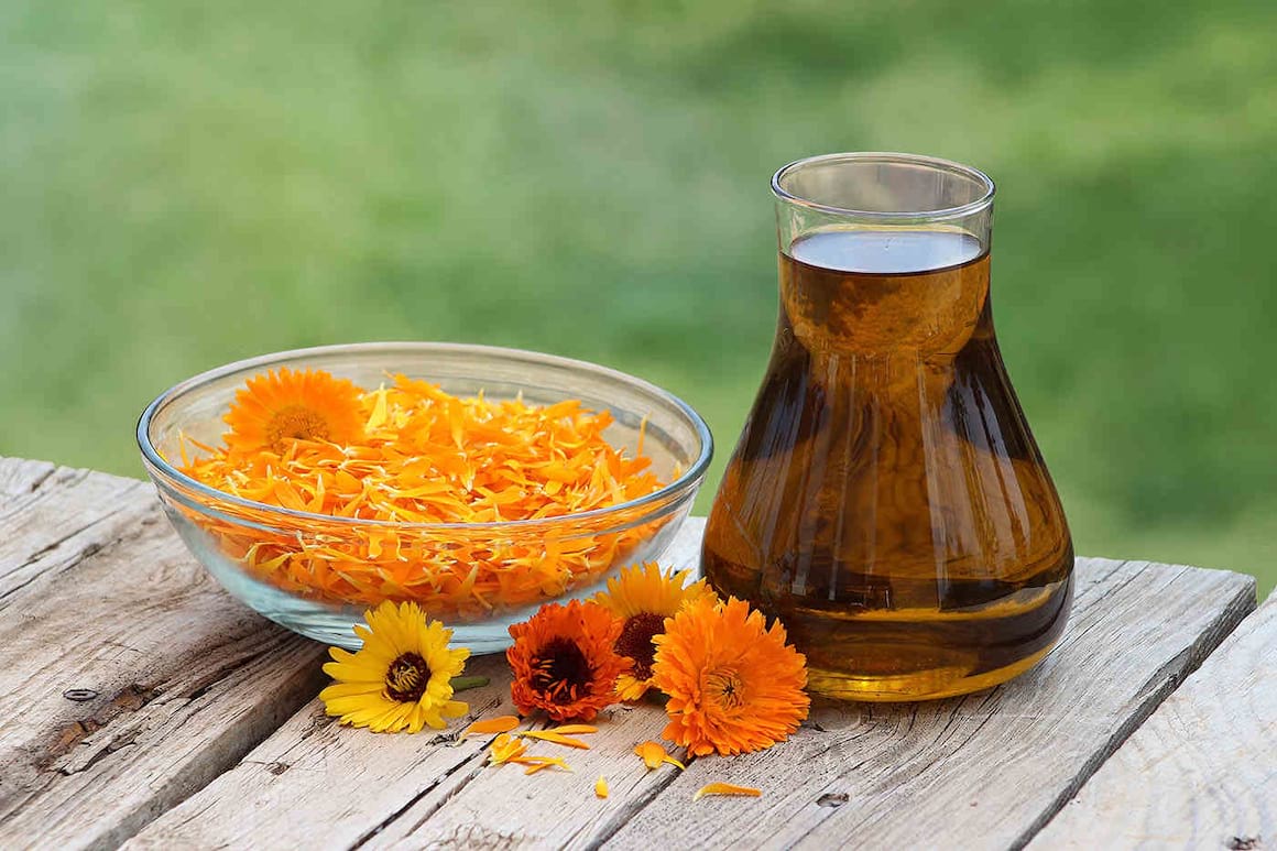 Gălbenelele (Calendula officinalis): ce beneficii și ce proprietăți au