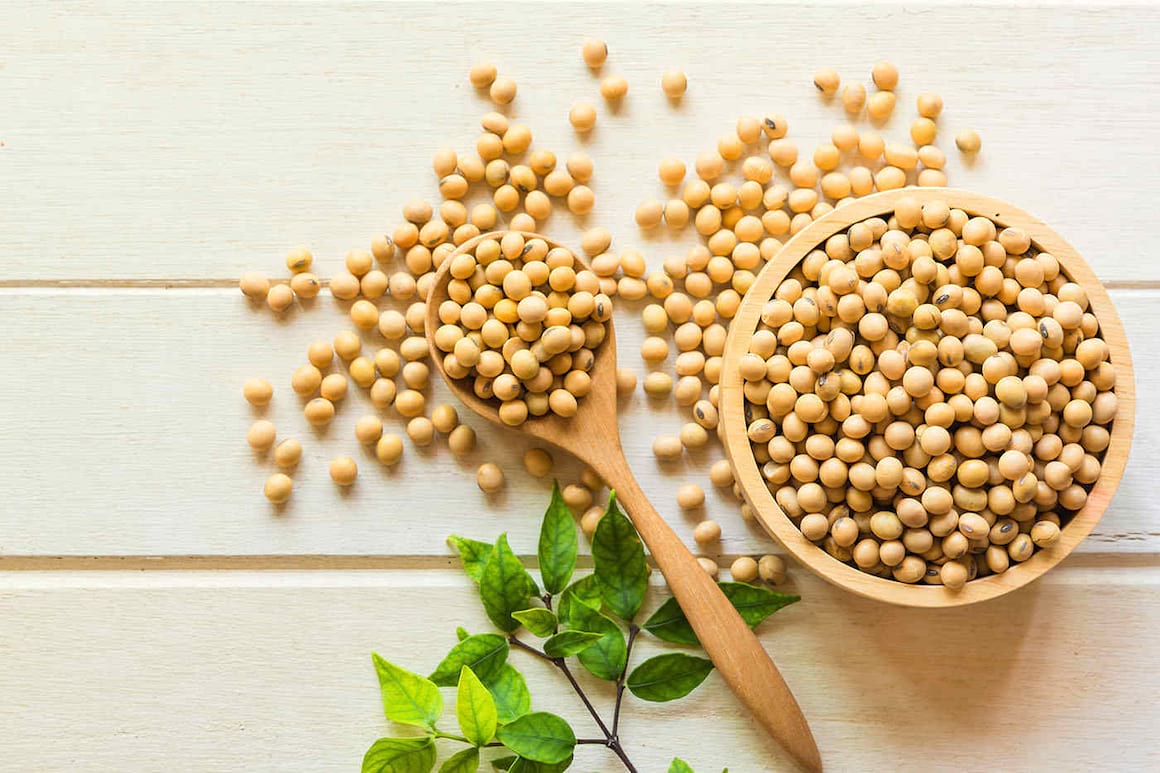 Dieta vegană, utilă în menopauză? (studiu)