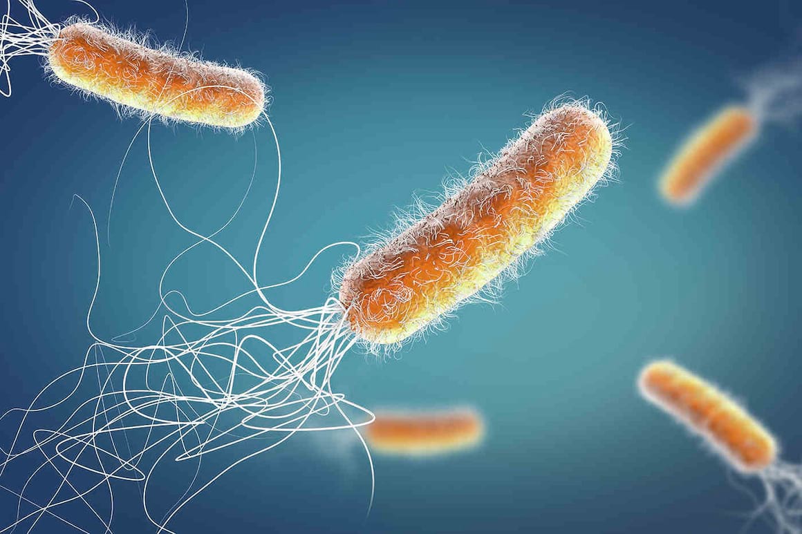 Infecția cu Pseudomonas aeruginosa (bacilul piocianic): cum se manifestă și ce tratament este eficient?