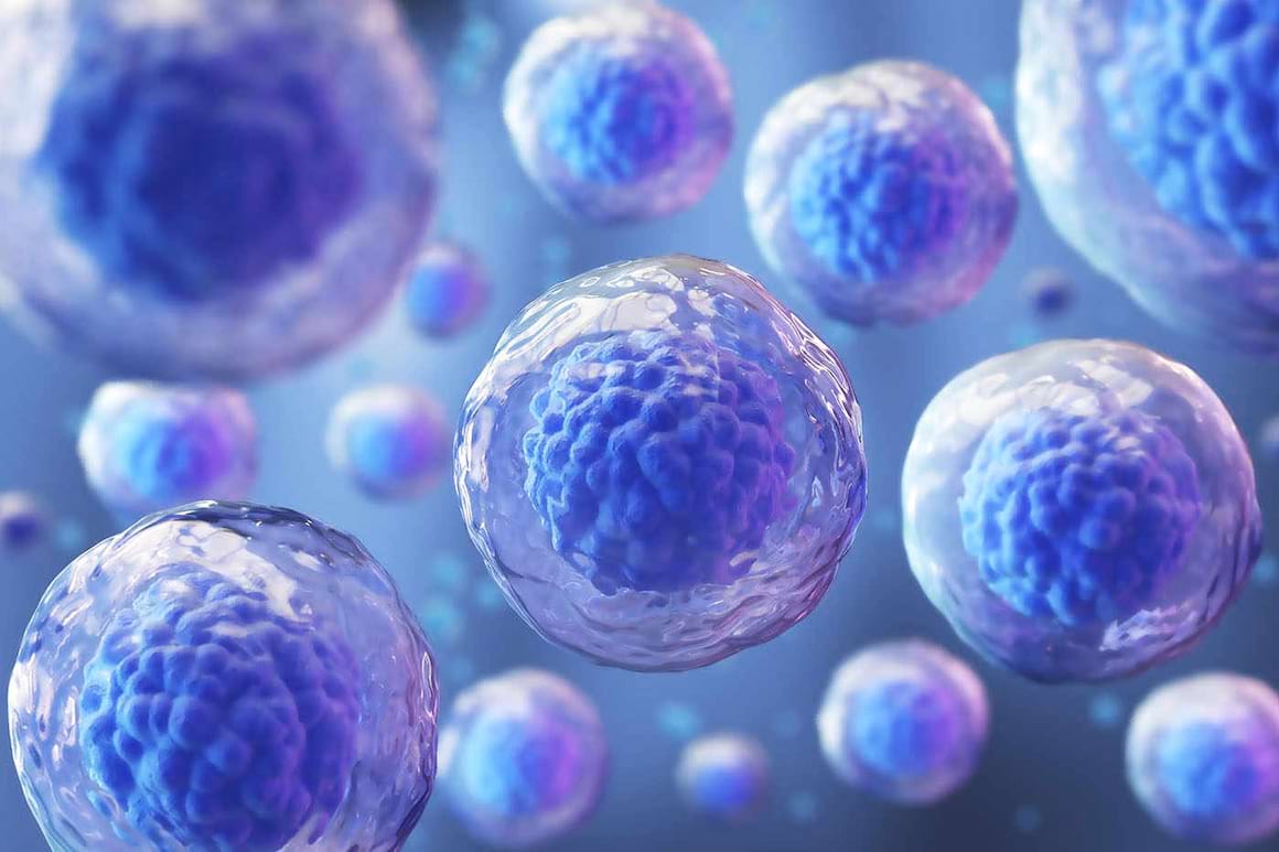 Celulele stem crescute în laborator, utile pentru transplanturi (studiu)