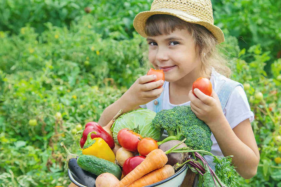 Produsele alimentare ecologice influențează funcția cognitivă a copiilor (studiu)