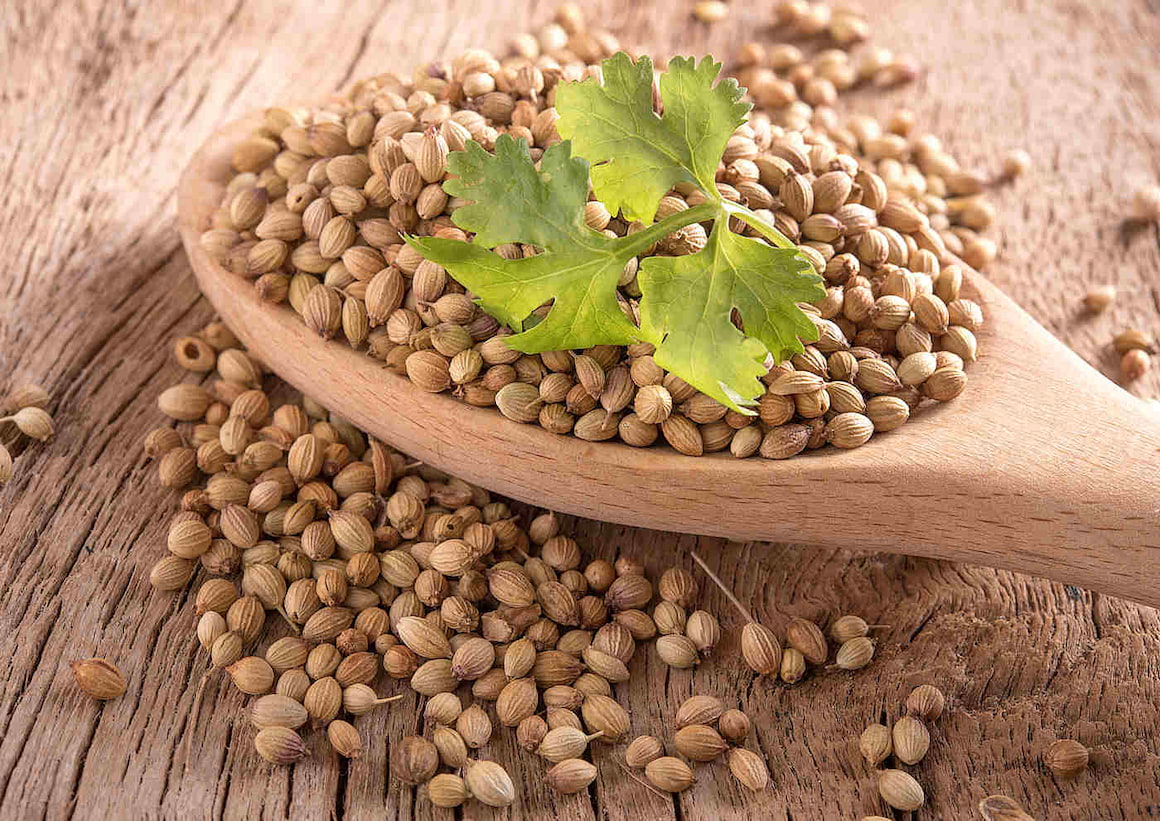 Coriandru (Coriandrum sativum): ce trebuie să știi despre această plantă