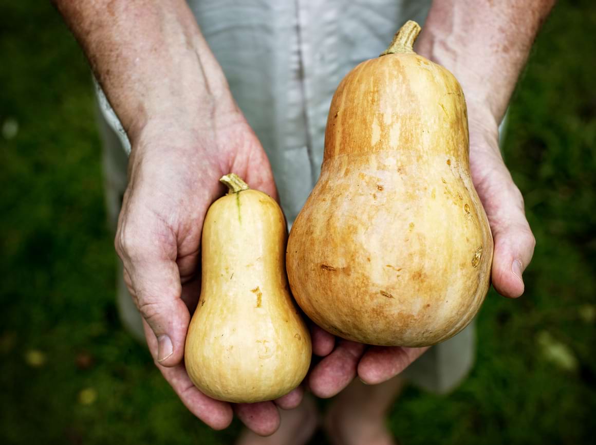 Alimente care conțin mai mult potasiu decât bananele