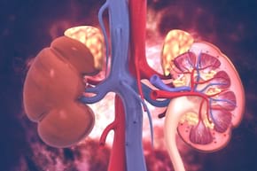 Cancerul renal ereditar: ce trebuie sa stii despre preventie si diagnostic