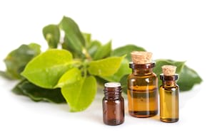 Uleiul esențial de ravintsara, antiviral natural
