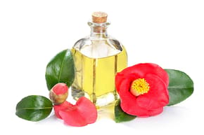 Uleiul de Camellia, ingredient esențial &icirc;n ritualul de &icirc;ngrijire japonez