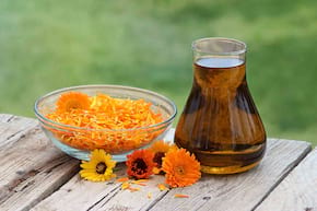 Gălbenelele (Calendula officinalis): ce beneficii și ce proprietăți au