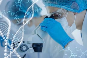 Oasele și vasele de s&acirc;nge ar putea fi regenerate cu ajutorul unui biomaterial
