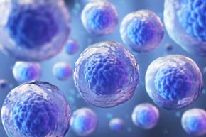 Celulele stem crescute &icirc;n laborator, utile pentru transplanturi (studiu)