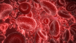Totul despre Hemoglobină: ce este, tipuri, boli asociate și tratament