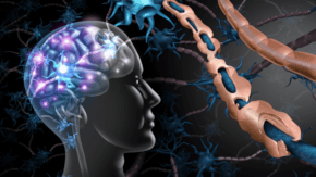 Scleroza multiplă: cauze, simptome, diagnostic și tratament