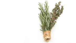 Cimbrul, planta cu efecte curative