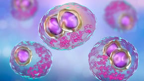 Citomegalovirus (CMV) - ce este, simptome, diagnostic și complicații