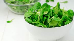 Salata de camp sau fetica: beneficii si retete