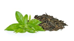 Care sunt diferentele dintre ceaiul verde, negru si alb?