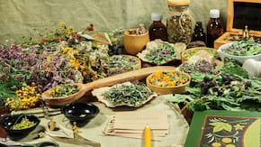 Fitoterapia sau ce poti trata cu ajutorul plantelor