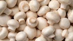 Ciupercile, importante &icirc;ntr-un regim alimentar echilibrat