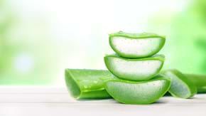 Cum să faci gel de aloe vera