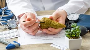 Ce rol are pancreasul în digestie?