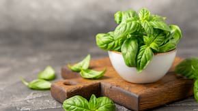 Antihipertensive din natura: 8 plante care scad tensiunea