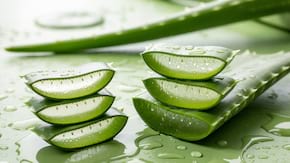 Aloe vera: cum o folosești pentru a scăpa de acnee